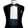 Barry.Wang Cummerbund Bow Tie Set for Men, Silk Cummerbund Pretied