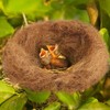 CREATCABIN Coconut Fiber for Bird Nests Bird Nesting Material Canary