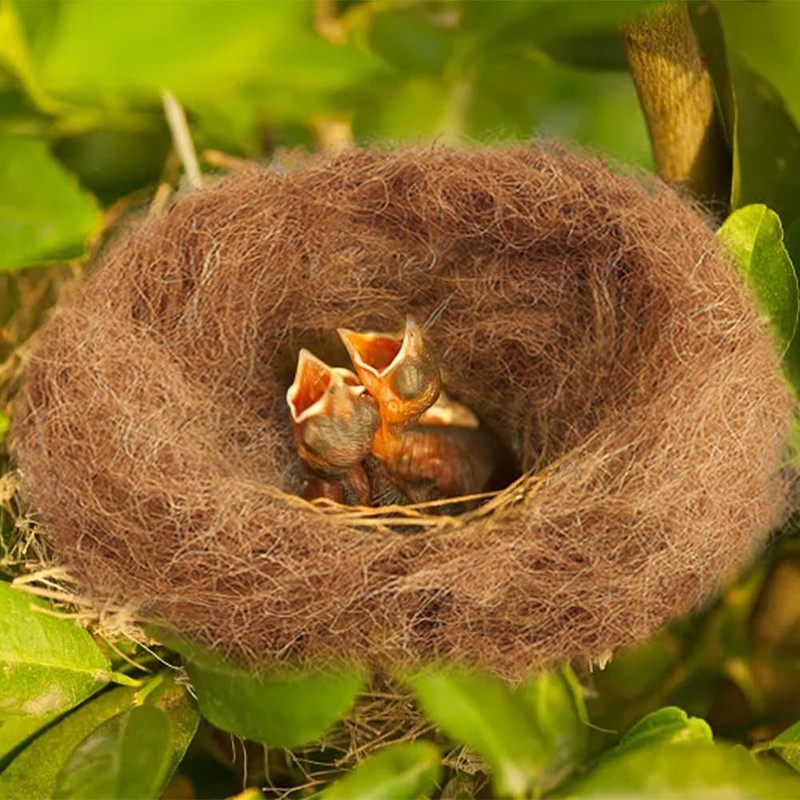 CREATCABIN Coconut Fiber for Bird Nests Bird Nesting Material Canary