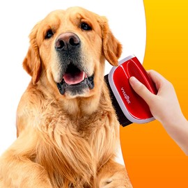 Giftable World VVLAPET Heated Dog Brush Pet Hair Straightener (Red)