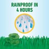 Roundup for Lawns₄ Ready-to-Use (Southern) - All-in-One Weed Killer for