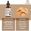 Turkey Tail Mushroom for Dogs | Helps to Boost the