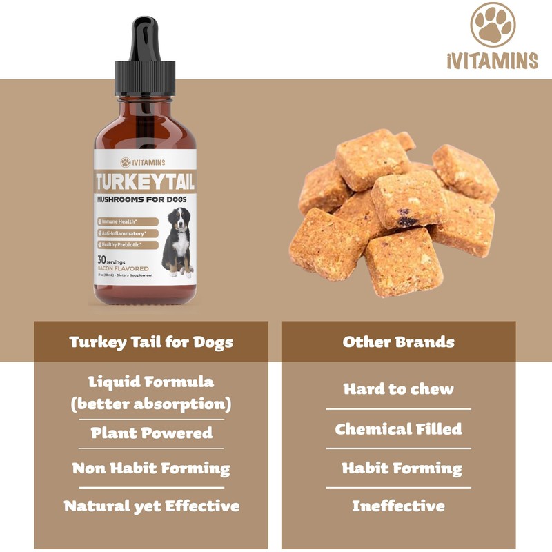 Turkey Tail Mushroom for Dogs | Helps to Boost the