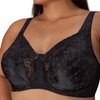Playtex womens Secrets Love My Curves Signature Floral Underwire Full