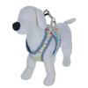Rainbow Wear Harness | Dog Harness, For Walking, Dog Harness,