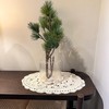 Eiyye 2-Pieces Handmade Cotton Crochet Doilies Oval Lace Table Placemats