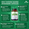 Zazzee High Absorption Artemisinin, 100 mg per Capsule, 120 Vegan