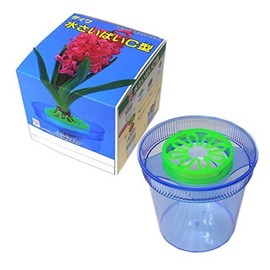 Water Die, C Shaped HYACINTH For (暗箱 with)