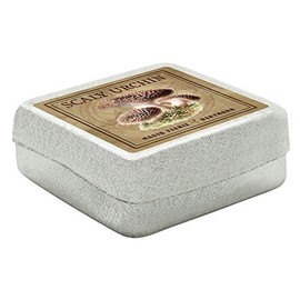 MyTinyWorld Dolls House Miniature Apothecary Scaly Urchin Fungi Colour Box