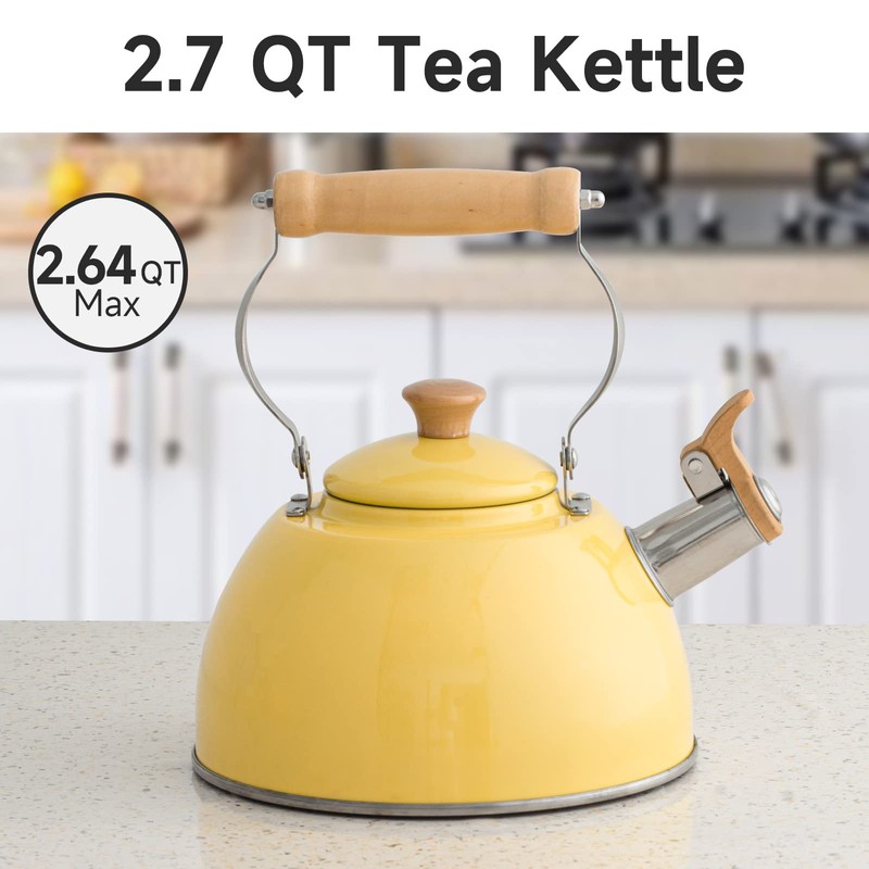ROCKURWOK Tea Kettle, Tea Pot with Cool Touch Ergonomic Handle,