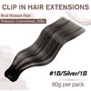 Hetto Clip-In Real Hair Extensions, Black, Balayage Black to Silver,