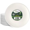 EcoWise 23cm Large Disposable Paper Plates - Pack of 100