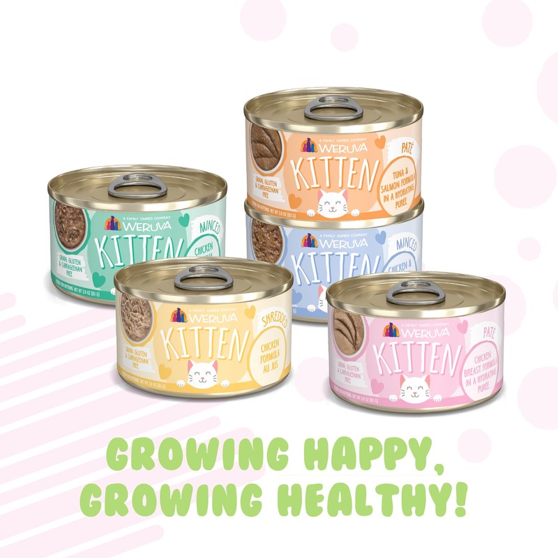 Weruva Kitten, Fur Baby Favorites Variety Pack, 3oz Can (Pack