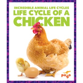 Life Cycle of a Chicken (Pogo Books: Incredible Animal Life Cycles)