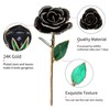 Long Stem Dipped 24k Gold Trim Red Rose In Gold