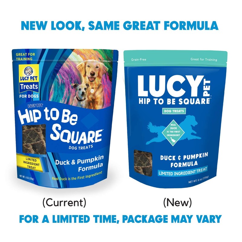 Lucy Pet Hip To Be Square Duck And Pumpkin Dog