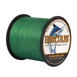 Hercules Super Strong 300M 328 Yards Braided Fishing Line 100 LB Test for Saltwater Freshwater PE Braid Fish Lines 4 Strands - Green, 100LB (45.4KG), 0.55MM