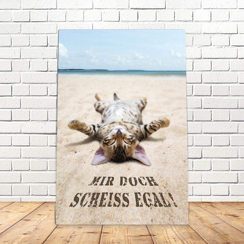 TRIOSK Tin Sign Cat Funny with Saying Scheiss Egal 20