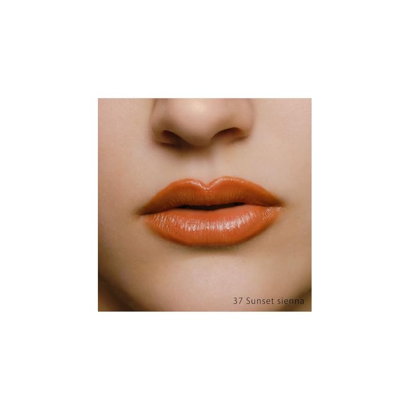 Celvoke Dignified Lips 37 Sunset Shenna Lip Lipstick Gloss Matte