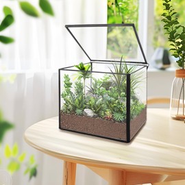 DAJAVE Square Glass Terrarium with Lid, Plants Terrarium Containers for Moss Succulent Geometric Black Terrarium Planter Box for Desktop 4.3 x 4.3 x 4 Inch