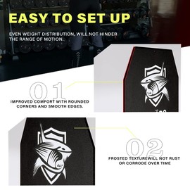 Weight Vest Plates 5.51/8.81/15.43/20.94LB Pair for Weighted Vest, Strength Training, Heavy Workout, Fitness, Running (8.81 LB)