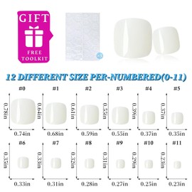 Pack of 120 toenails AUC8