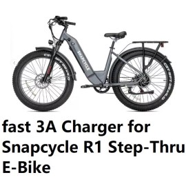 coming dat Fast 3A Charger for Snapcycle R1 pro Step-Thru/Warr