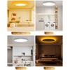 Aphyni 15.8 Inch LED Flush Mount Ceiling Light with Night