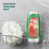 Duschdas Duschgel Wassermelone Duschbad mit Fresh-Energy-Duftformel sorgt für einen erfrischenden