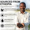 Ethiopian Black Seed Oil Softgels with Oregano Oil 2-in-1 Formula,120