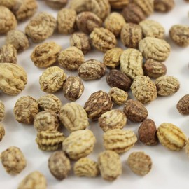 Organic Nasturtium Jewel Mix Seed 1 Oz ~198 Seeds – Vibrant Edible Flowers & Lush Foliage – Fast-Growing, Easy to Maintain – Attracts Pollinators – Gardens, Containers & Companion Planting