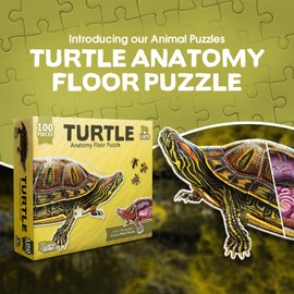 Turtle Animal Anatomy Floor Puzzle | 100-Piece Double Sided Jigsaw Puzzle | Large-Sized, Over 4 Feet Scientifically Accurate Illustration - Fun and Educational Toy for Kids, Toddlers and Families