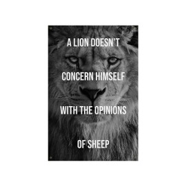 Damdekoli Lion Doesn't Concern Himself with The Opinions of Sheep Banner - Home Gym Decor - Large Motivational Quote Wall Art - Inspirational Print (24 x 36 Inches)