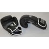Ring to Cage Economy Deluxe MiM-Foam Sparring Gloves 2.0 -