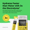 Earth's Splendor Electrolytes Powder Packets Lemon Lime Hydration Drink Mix