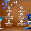 Syruvia Blue Raspberry Syrup 25.40 Ounces Blue Raspberry Flavoring Syrup