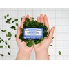 Dr. Bronner's | Set de esenciales de menta; incluye jabón