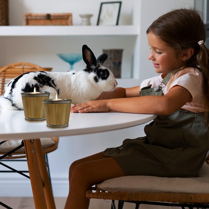 Citronella Candles Set of 2, Lemongrass Candles 7OZ, Outdoor Indoor