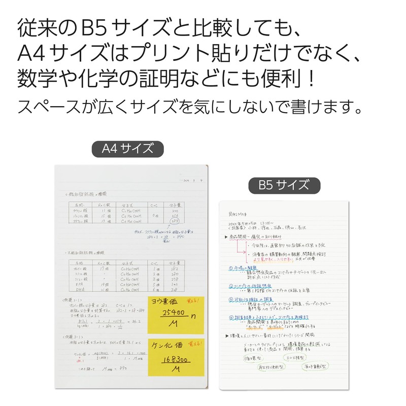 Kokuyo S121AT-B Campus Soft Ring Notebook, A4, Dotted A-Ruled, 40