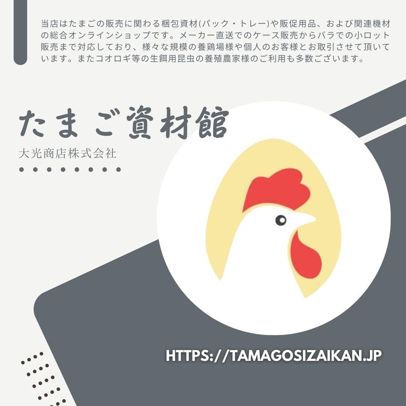 Eggs Pack of 6, Regular Large, 100