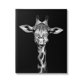 Stupell Industries Greyscale Zebra Stripes Detailed Photography Portrait,Design by Incado