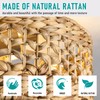 Rattan Ceiling Fans with Light and Remote, Boho Fandelier Ceiling