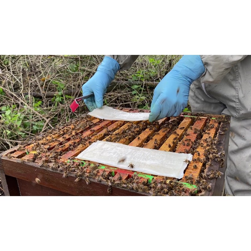 Formicpro for The Treatment of Varroa Mites (2 Dose (4
