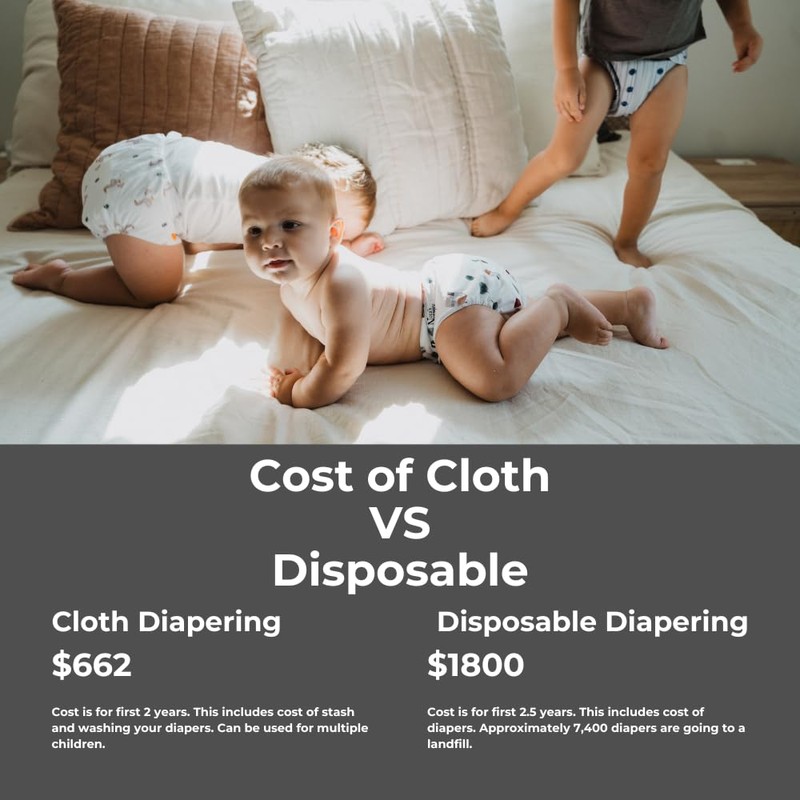 Nora's Nursery Cloth Diapers 7 Pack with 7 Inserts &