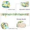 MR.CHUBBYFACE Summer Lemon Dog Collar, Light Adjustable Puppy Collar with