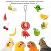 1pcs Hanging Bird Treat Skewer Parrot Fruit Feeder, 13 Inch