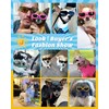 Lewondr Dog Sunglasses Small Breed Goggles UV Protection,Goggles for Small