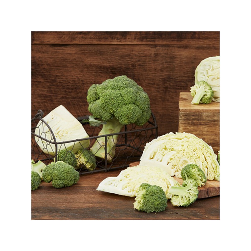 Chamdeun (현대홈쇼핑)참든 양배추 바르게 담아 60포 Hyundai Home Shopping Chamdeun