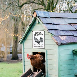 Beljeley Chicken Coop Metal Sign, Funny Rooster Kitchen Decor, Vintage Rustic Farmhouse Wall Art for Home, Farm & Garden White