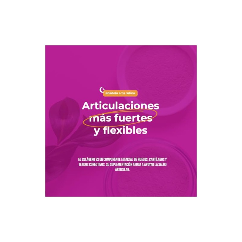 Péptidos Colágeno Hidrolizado Ácido Hialurónico Suplemento Alimenticio Polvo Porciones
